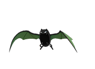 Shiny Golbat